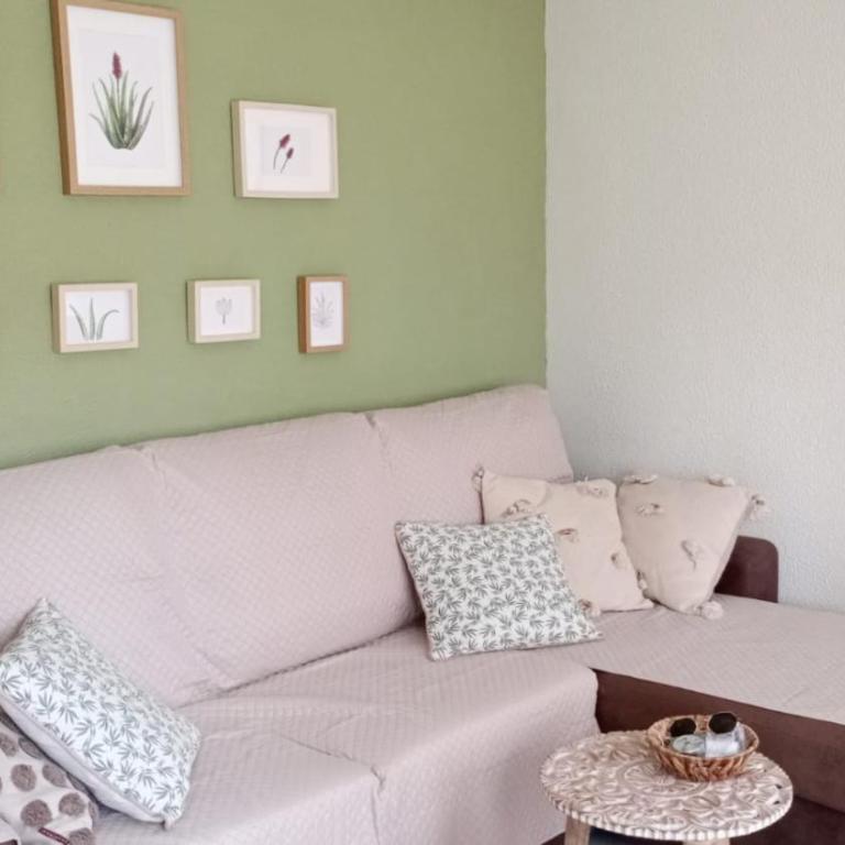 Aloe - Appartement 1 Chambre - 3