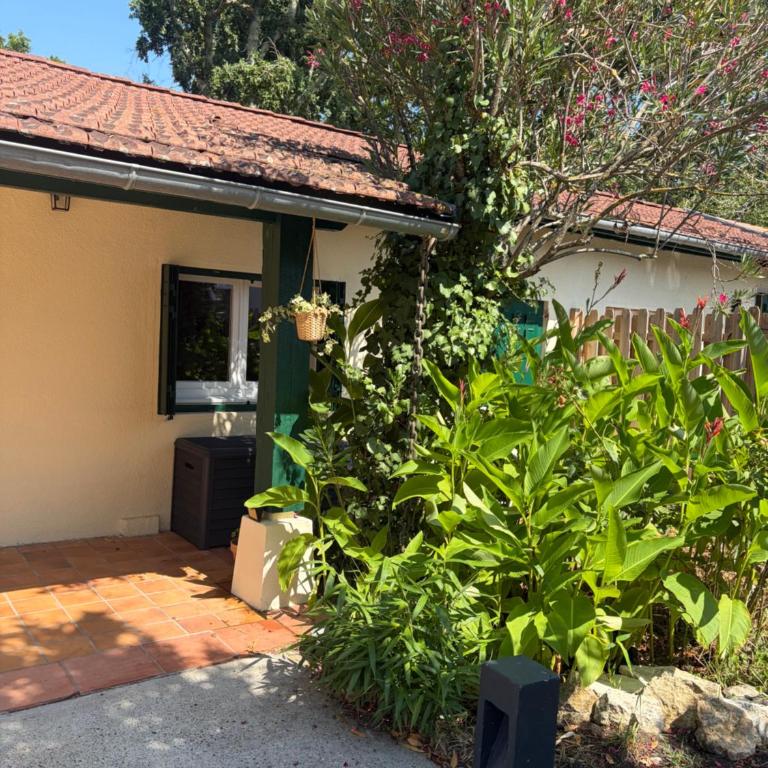 Cosy cottage 1km from beach - Maison 3 Chambres - 54