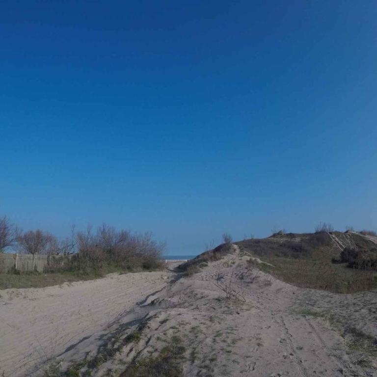 Studio in Rosolina Mare 41467 - Appartamento - 31