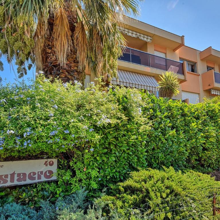 Charmant avec terrasse à 10 min de Cannes - Appartement - 20