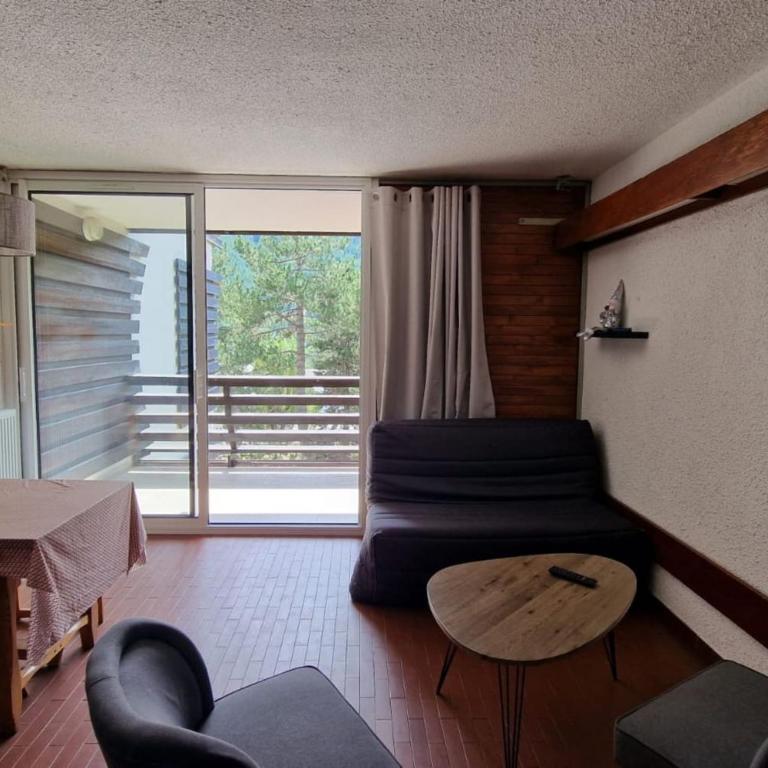 Cosy T2 with sunny terrace in Saint-Chaffrey - Appartement - 12