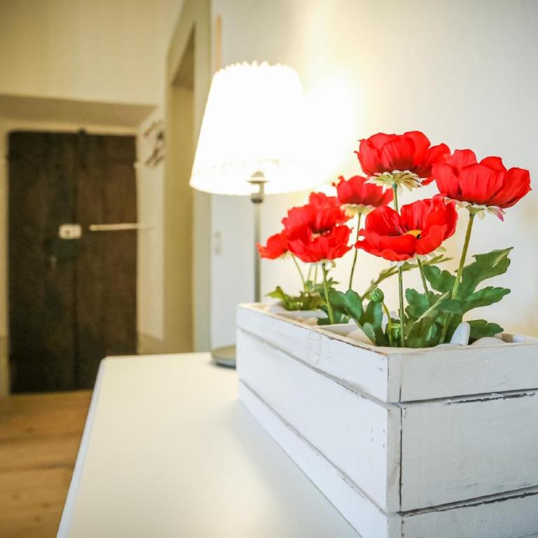 La finestra sul Teatro - Appartamento con 2 Camere da Letto - 20