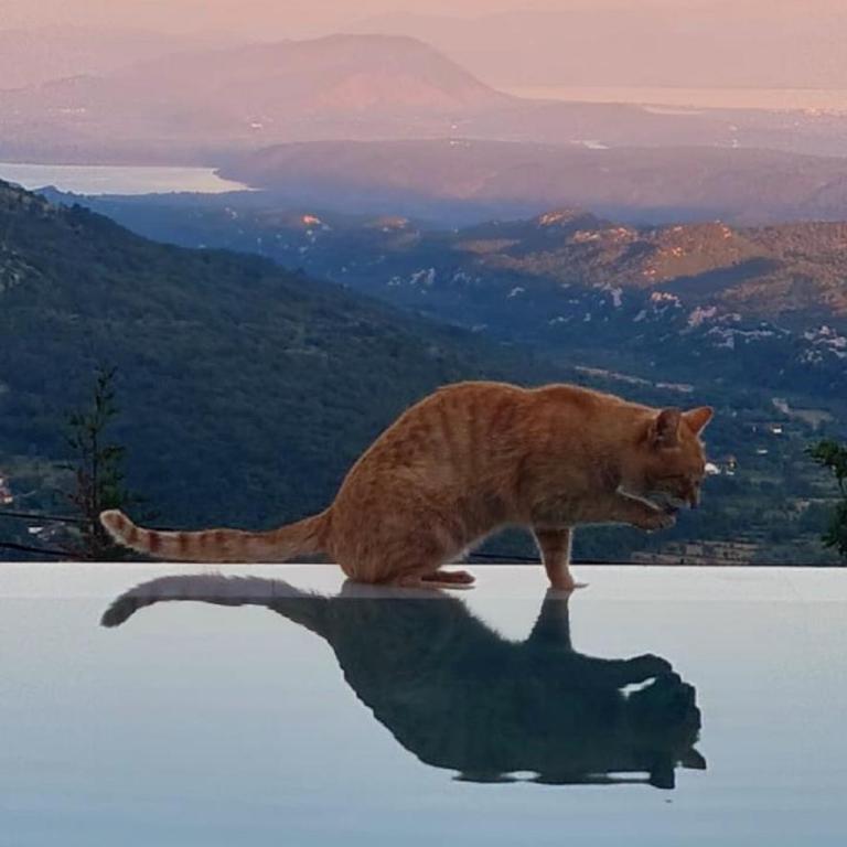 Sunrise Villa Infinity Pool & Views - Vila - 18