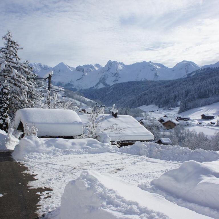 Chalet 8 pers. au Grand-Bornand, proche pistes - FR-1-467-134 - Appartement - 17