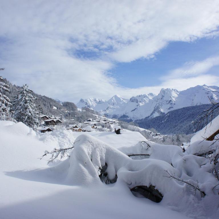 Chalet 8 pers. au Grand-Bornand, proche pistes - FR-1-467-134 - Appartement - 18