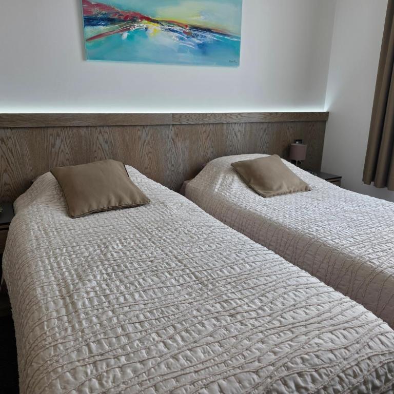 Alibi 103 Zlatibor - Studio mit Kingsize-Bett und Schlafsofa - 11