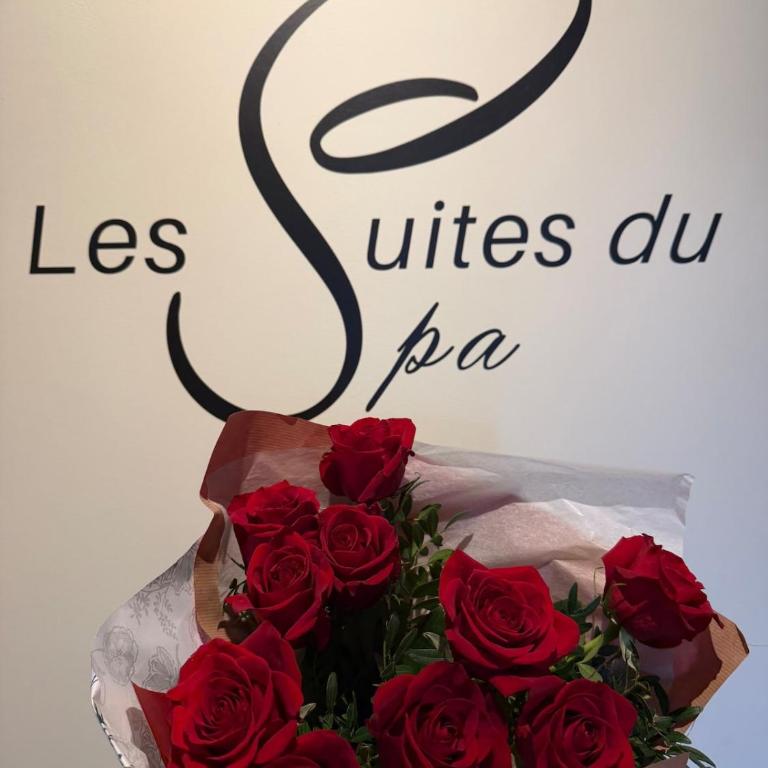 Suite du Spa 5 - Parking Privé Gratuit à Reims - Appartement 2 Chambres - 48