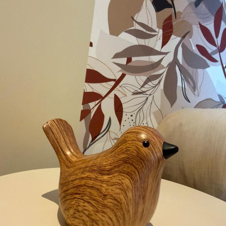 Suite du Spa 5 - Parking Privé Gratuit à Reims - Appartement 2 Chambres - 35
