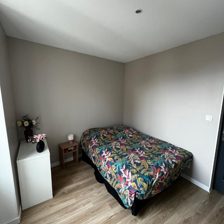 Appartement entier à deux pas de la gare - Appartement 2 Chambres - 14