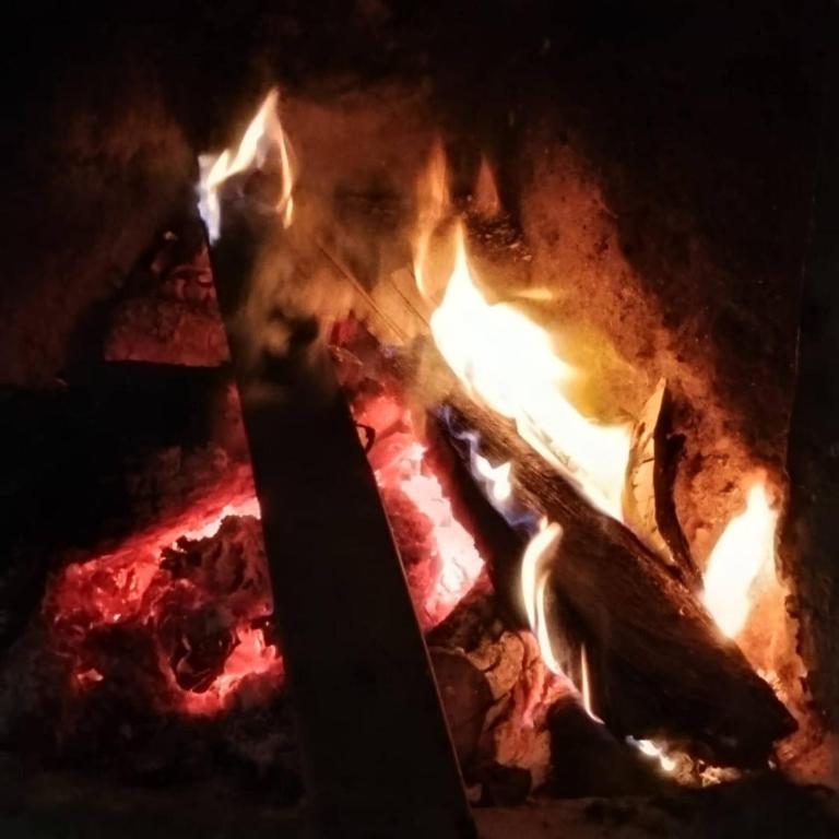 House for 10 in an oak forest Santa Elena - Casa - 9