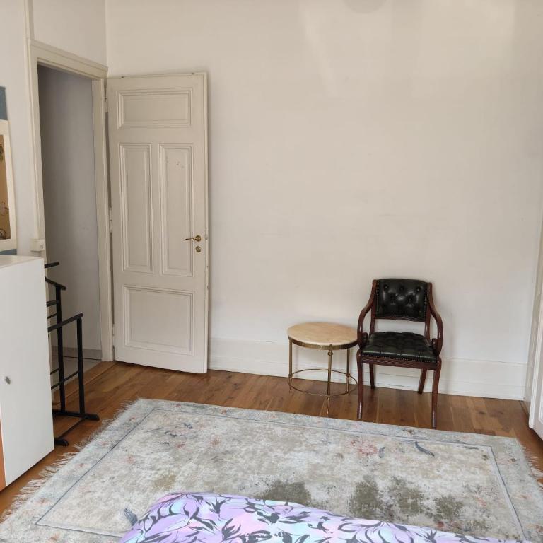Spacious unique 150m2 apartment Geneva city center - Appartement 3 Chambres - 4