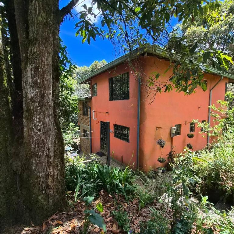 House for 10 in an oak forest Santa Elena - Casa - 54