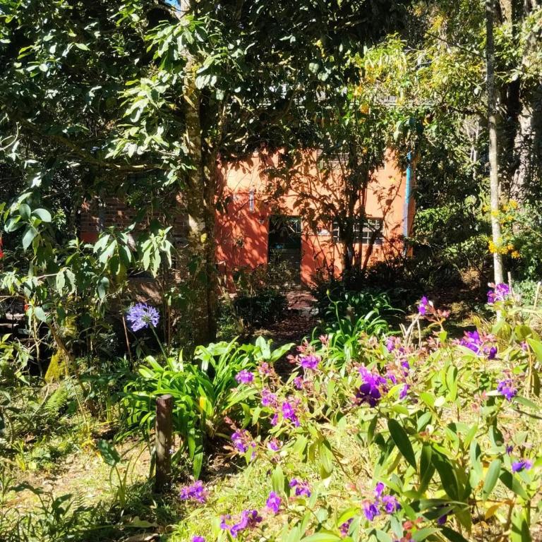House for 10 in an oak forest Santa Elena - Casa - 56