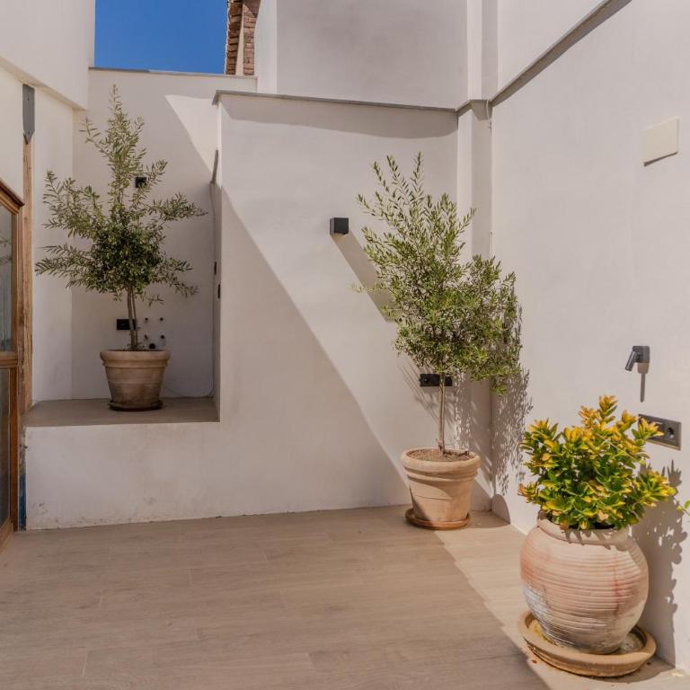 Bib-Rambla Deluxe Apartament, Granada Center, By DaiMar - Apartamento de 1 dormitorio - 50