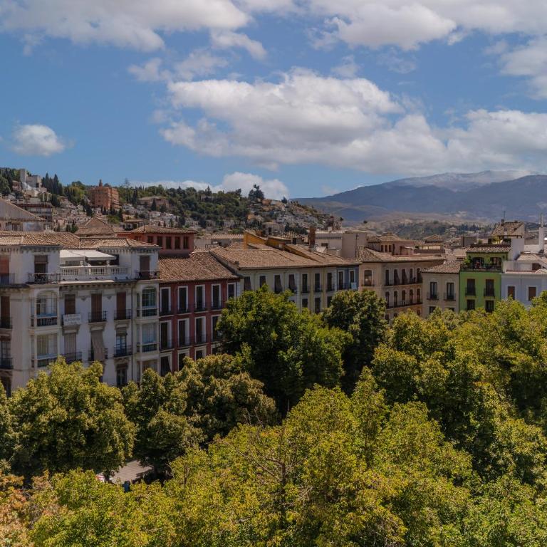 Bib-Rambla Deluxe Apartament, Granada Center, By DaiMar - Apartamento de 1 dormitorio - 65