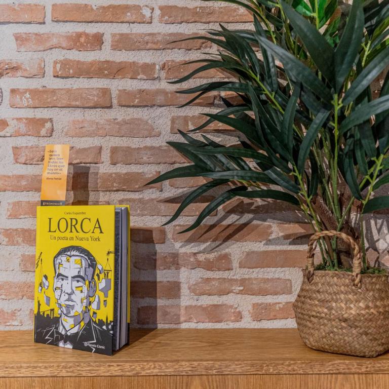 Bib-Rambla Boutique I, Granada Center, Con Parking - Apartamento de 1 dormitorio - 13