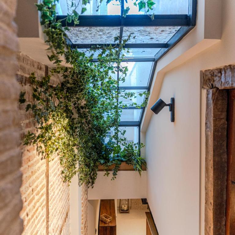 Bib-Rambla Boutique II, Granada Center, Con Parking - Appartement 1 Chambre - 42