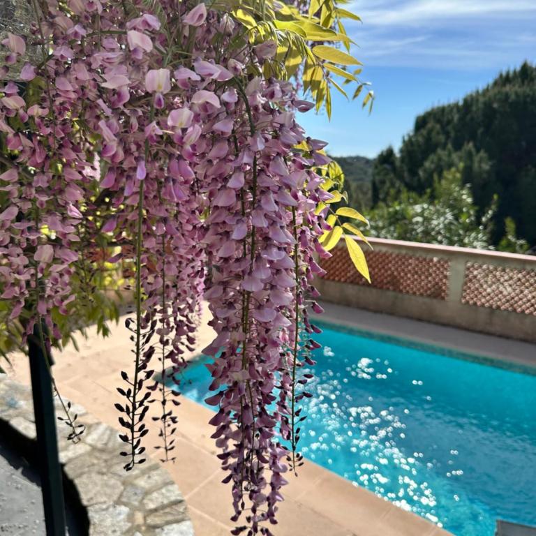 Villa 4-5 personnes colline de Valcros, vue magnifique et piscine privative - Maison 2 Chambres - 2