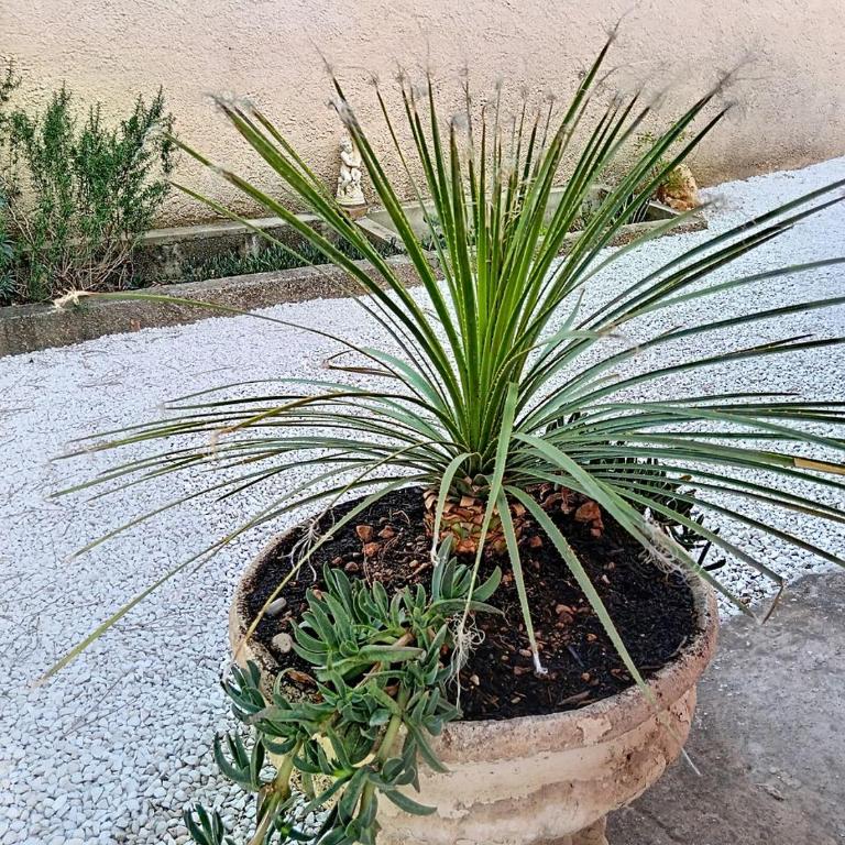 Villa Les Bonnes Herbes - Villa - 29