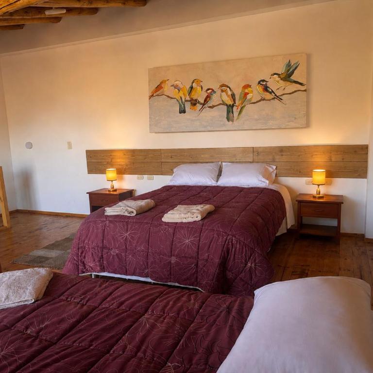 Casita Paz - One-Bedroom House - 9