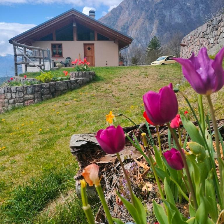 Chalet Vedetta Home in the heart of the Dolomites - Appartamento con 1 Camera da Letto - 19