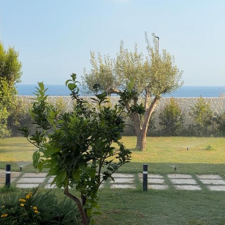 Casa Neroli - Villa con 2 Camere da Letto - 13