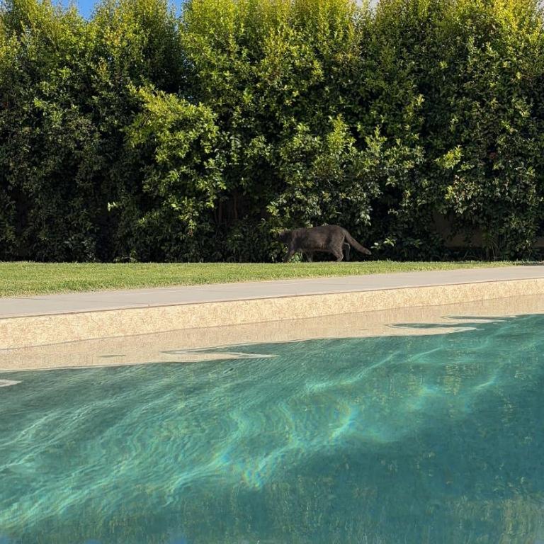 Casa Neroli - Villa con 2 Camere da Letto - 1