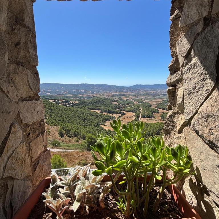 Lo Mirador De Forès - Apartamento de 2 dormitorios - 4