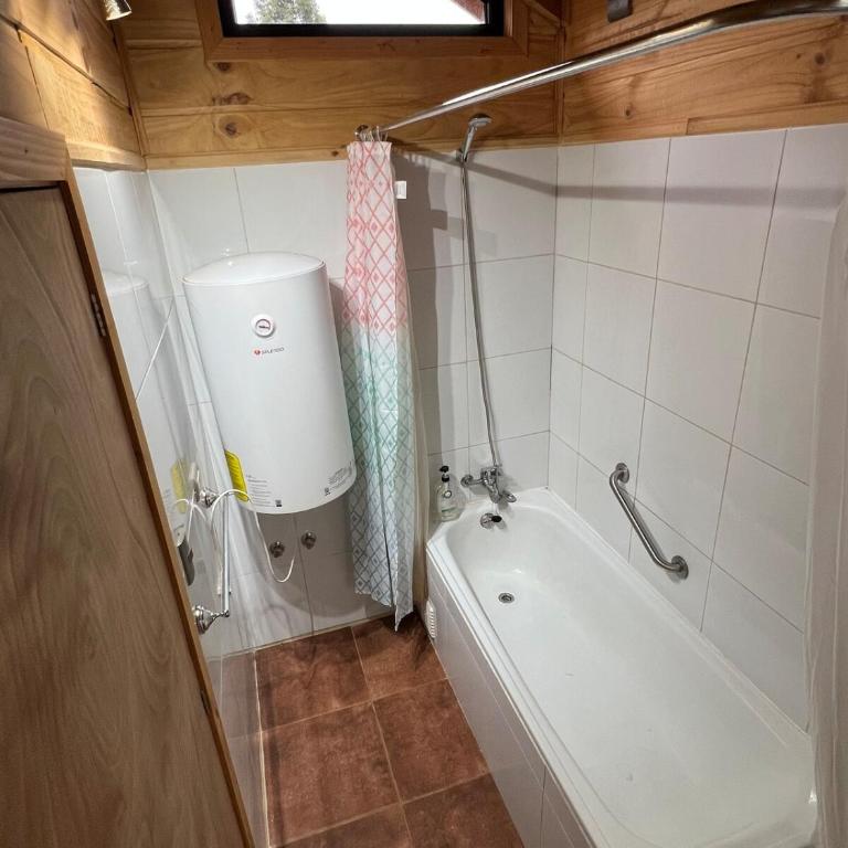 Parque Alemán Paillaco - Apartamento de 1 dormitorio - 4