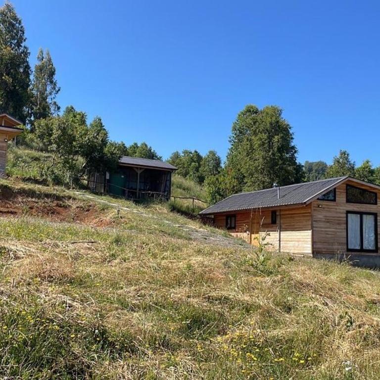 Parque Alemán Paillaco - Apartamento de 1 dormitorio - 11