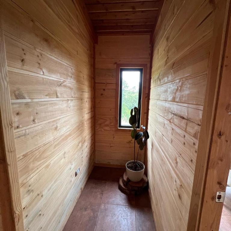 Parque Alemán Paillaco - Apartamento de 1 dormitorio - 13
