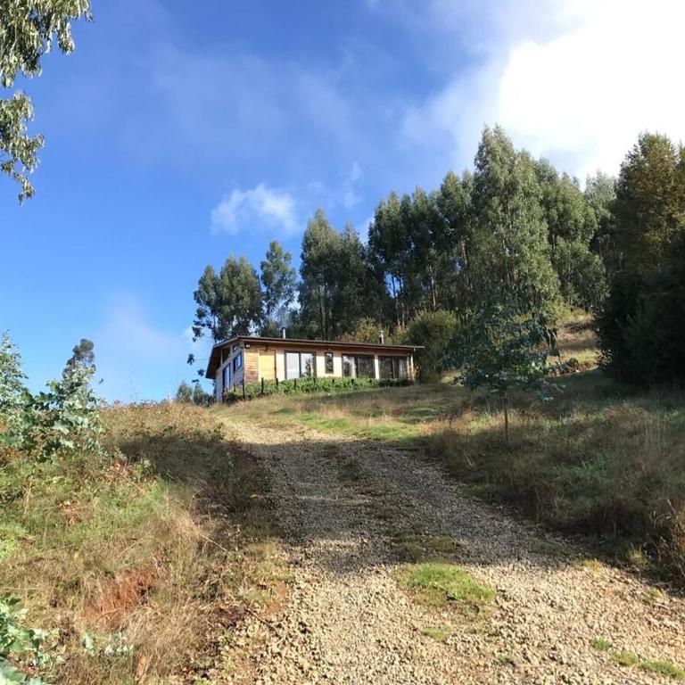 Parque Alemán Paillaco - Apartamento de 1 dormitorio - 14