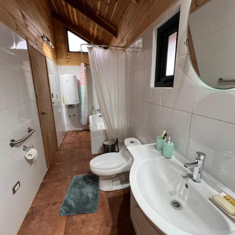Parque Alemán Paillaco - Apartamento de 1 dormitorio - 19