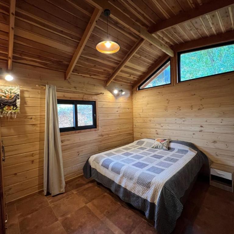 Parque Alemán Paillaco - Apartamento de 1 dormitorio - 27