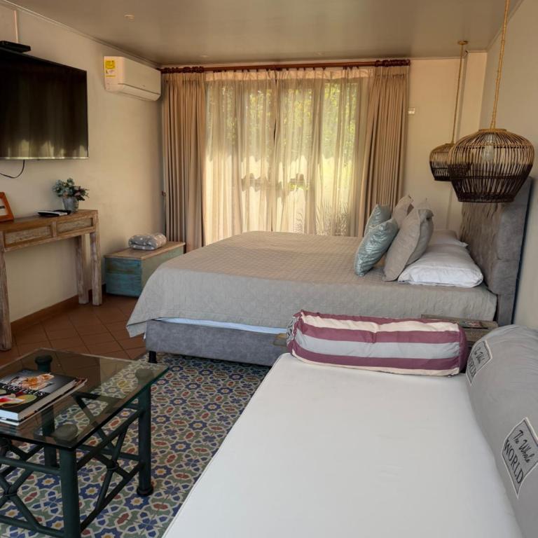 Apolonia Boutique - Estudio con sofá cama - 3