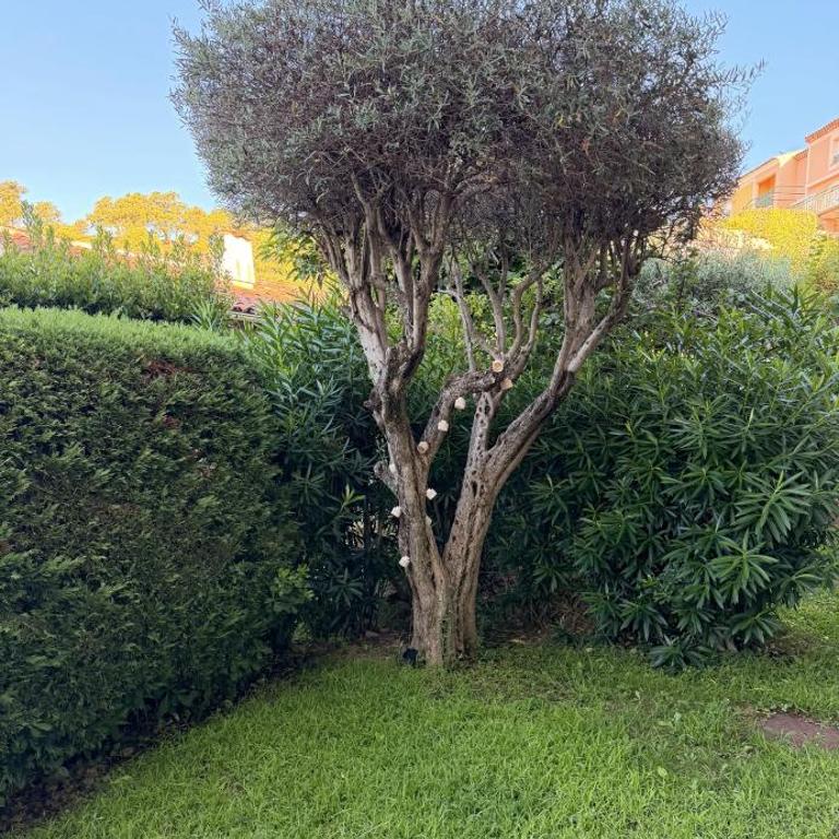 Le Halo des Greens - Appartement 2 Chambres - 16