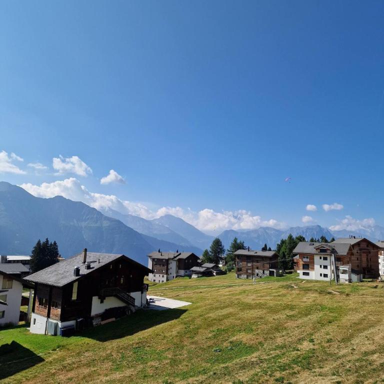 Charming Riederalp Apartment with Mountain Views Aletsch UNESCO - Apartment - 40