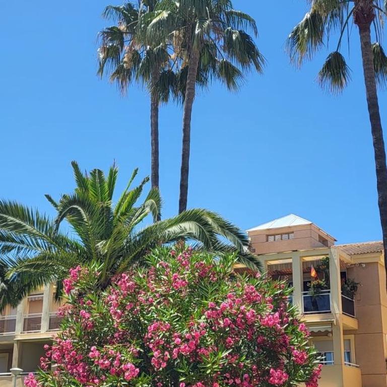 Perfect family holiday! Modern penthouse in Dénia only 200 m to the beach! - Apartamento de 2 dormitorios - 35