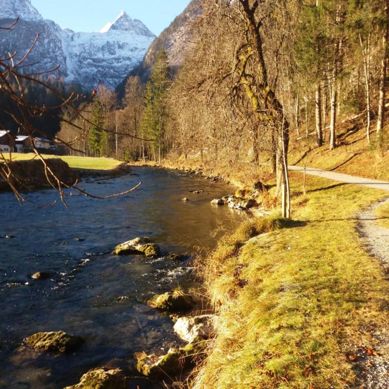 Das Prinzis - Chalet - 26