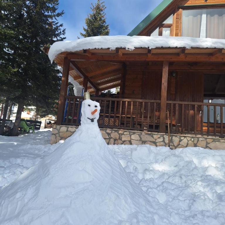 Vila Bianka Žabljak Vikendica u selu Uskoci - Kuća sa 2 Spavaće Sobe - 35
