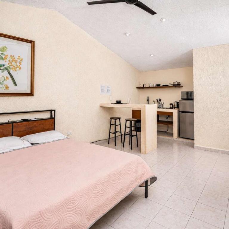 Compact Studio with Balcony Park View Casa Jurel - Apartment - 6