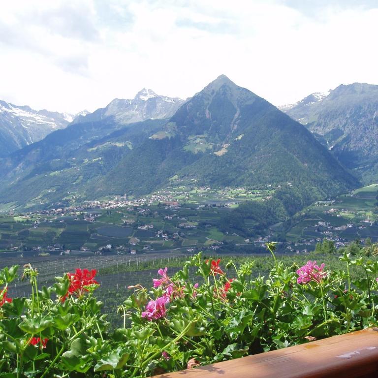 B & B Gurterhof - Camera Matrimoniale con Balcone - 2