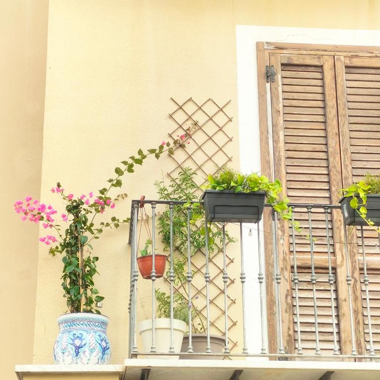 BallarHòme 105-Elegant Apartment in Palermo Historic Center, Self Check-in - Appartamento con 1 Camera da Letto - 13