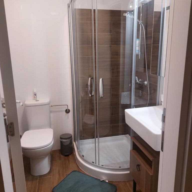 Jagodina apartmani CRNJANSKI 1 zatvoreni bazen - Studio sa Balkonom - 14