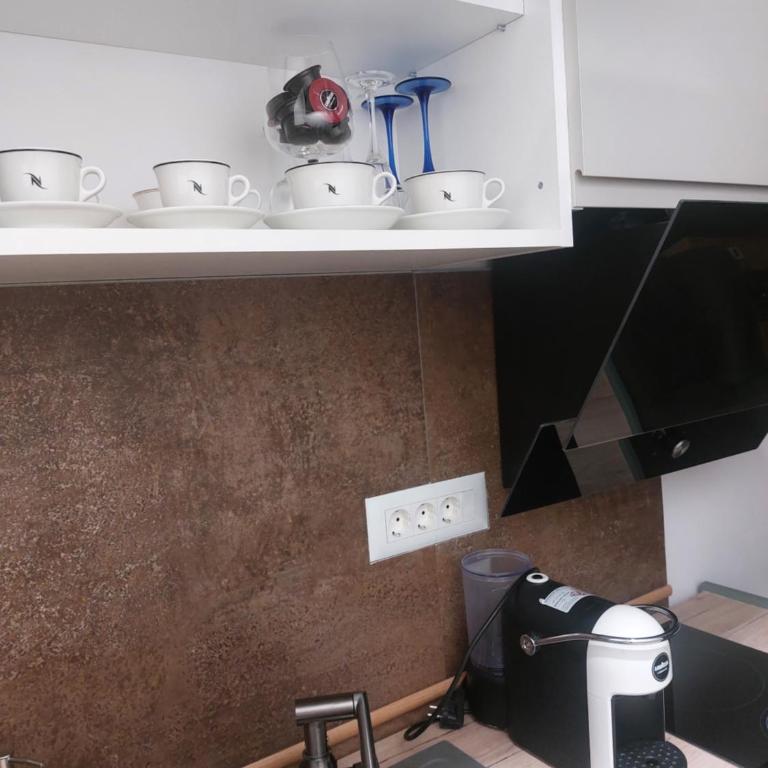 Jagodina apartmani CRNJANSKI 1 zatvoreni bazen - Studio sa Balkonom - 12