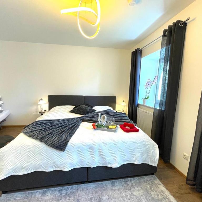 Zentrale Wohnung in Linz mit gratis Parkplatz - Apartment mit 1 Schlafzimmer - 6