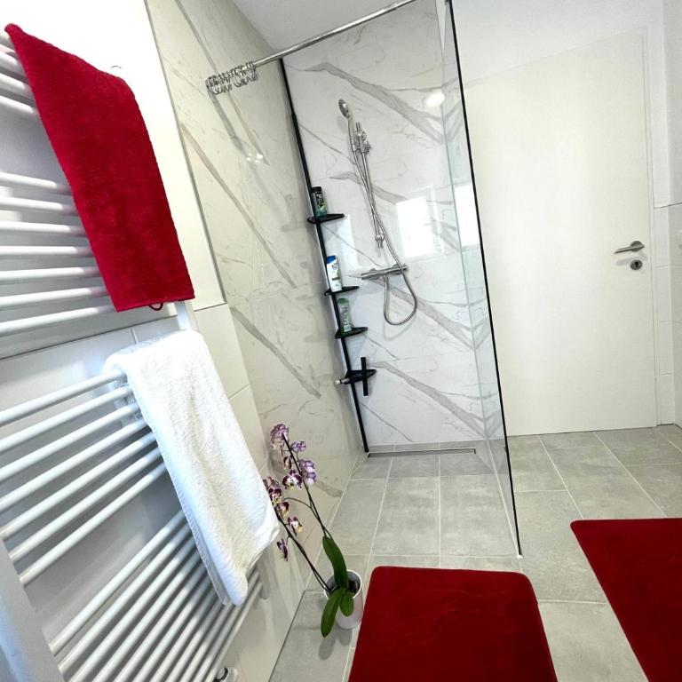 Zentrale Wohnung in Linz mit gratis Parkplatz - Apartment mit 1 Schlafzimmer - 7