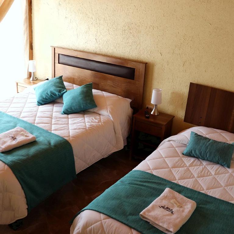 Eltoconar atacama Volcano Sightviews, Wineyard & Desertic nature - Habitación Doble con baño privado - 1 o 2 camas - 35