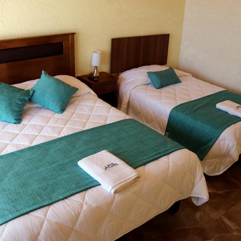 Eltoconar atacama Volcano Sightviews, Wineyard & Desertic nature - Habitación Doble con baño privado - 1 o 2 camas - 39