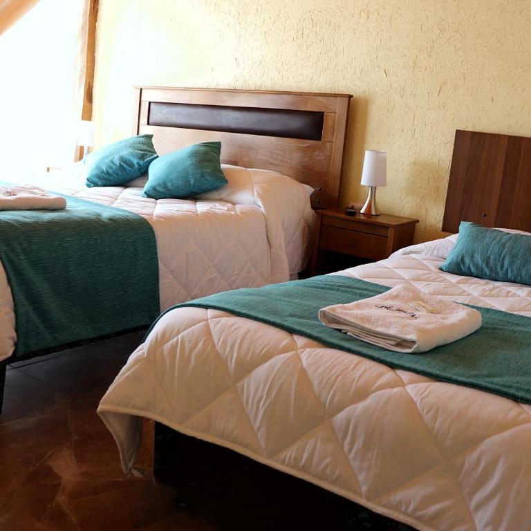 Eltoconar atacama Volcano Sightviews, Wineyard & Desertic nature - Habitación Doble con baño privado - 1 o 2 camas - 34